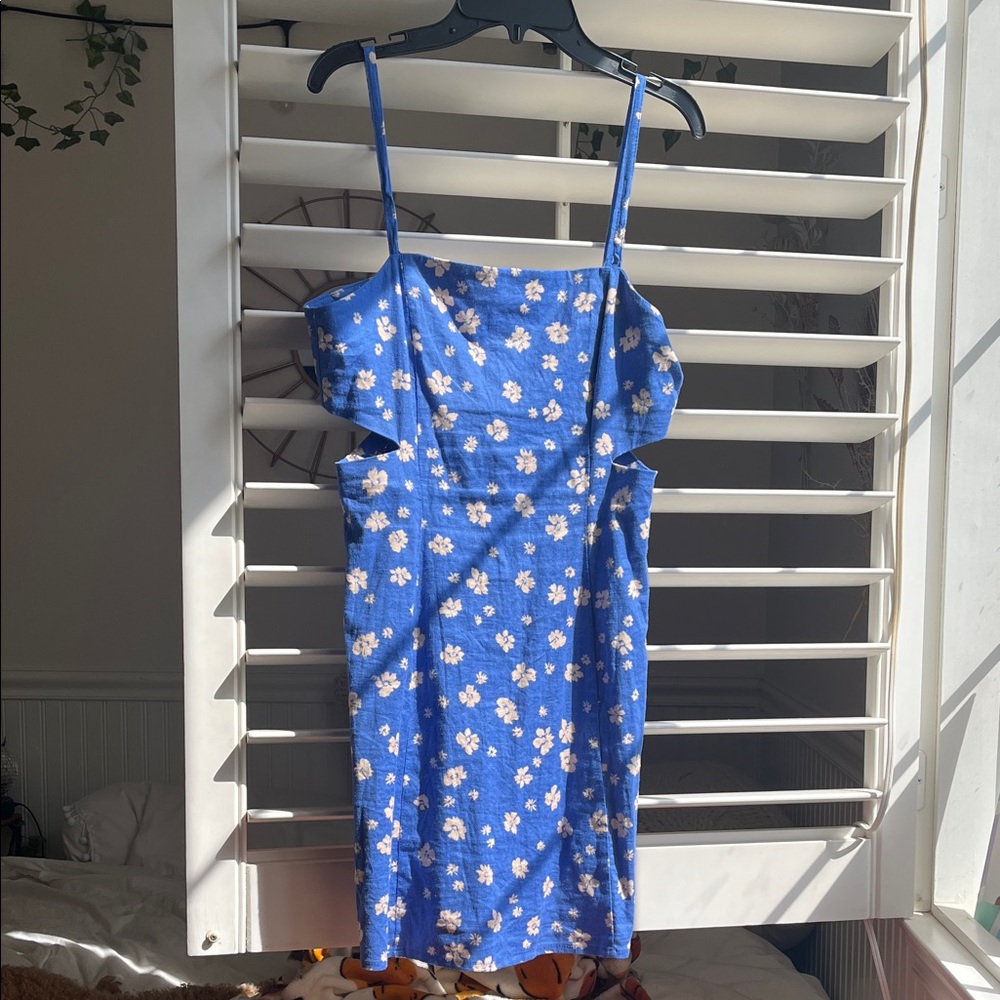 Zara Blue Floral Women's Dress